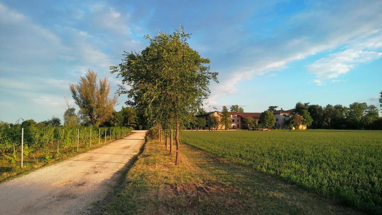 Agriturismo Alle Albare Montorio Veronese Kültér fotó