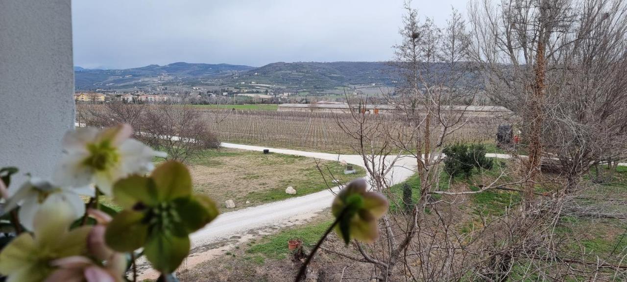 Agriturismo Alle Albare Montorio Veronese Kültér fotó