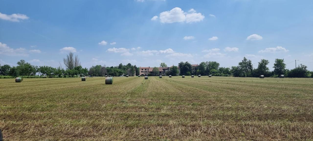 Agriturismo Alle Albare Montorio Veronese Kültér fotó