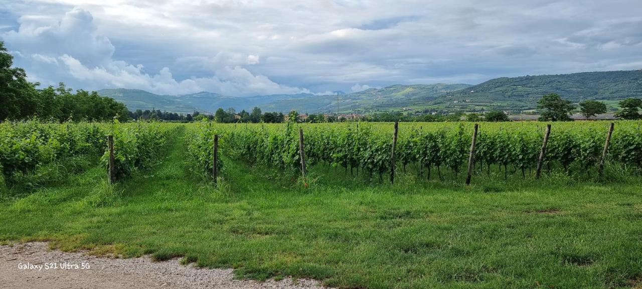 Agriturismo Alle Albare Montorio Veronese Kültér fotó